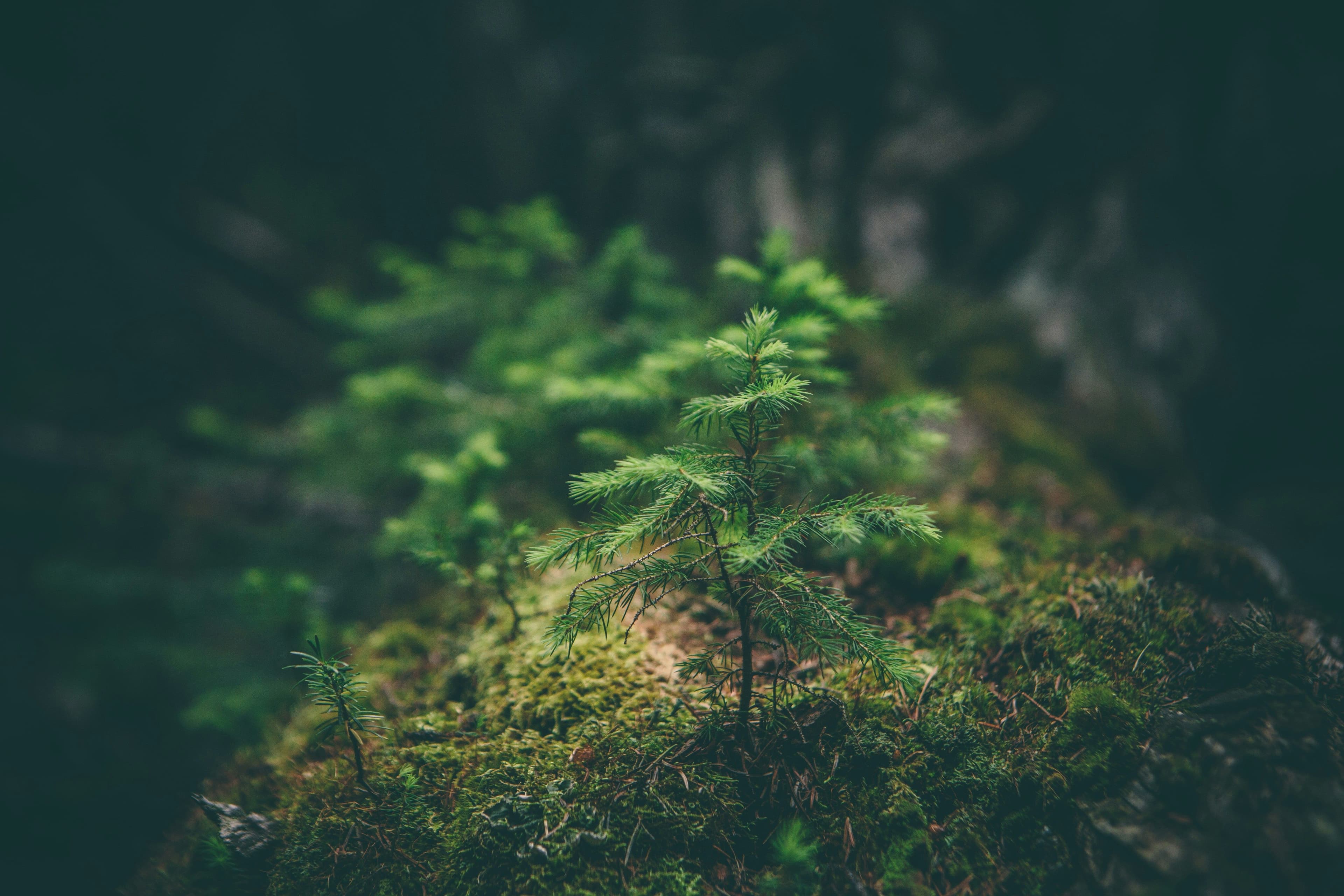 ESG_Environment-bg